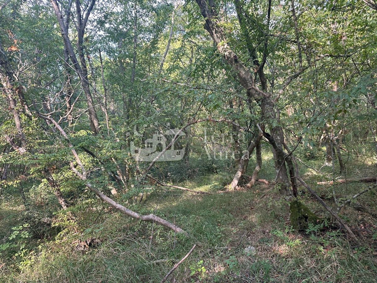 Kmetijsko zemljišče Milohnići, Krk, 11.246m2