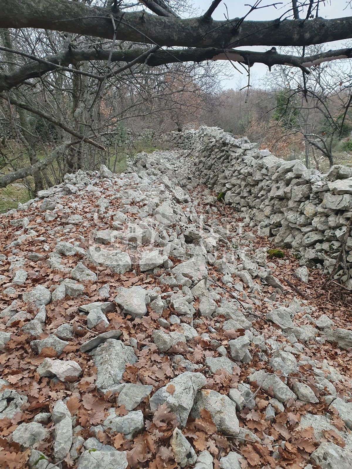 Kmetijsko zemljišče Vrh, Krk, 38.384m2