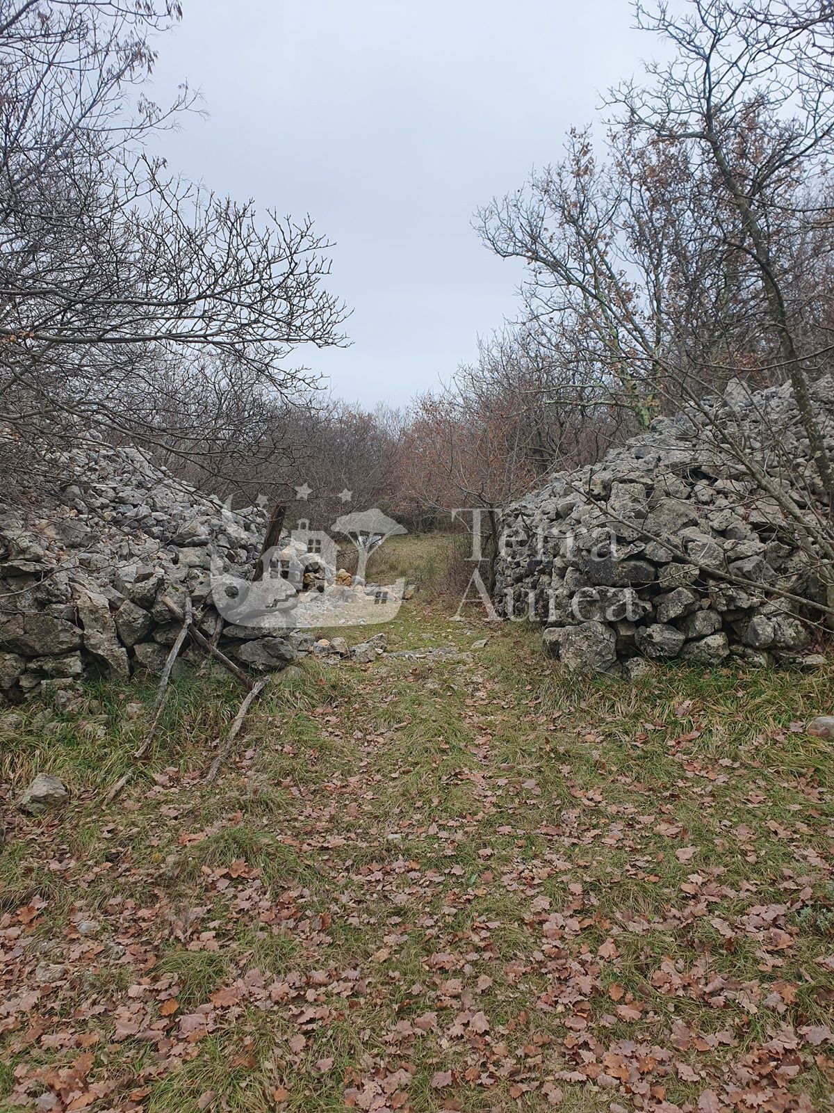 Kmetijsko zemljišče Vrh, Krk, 38.384m2