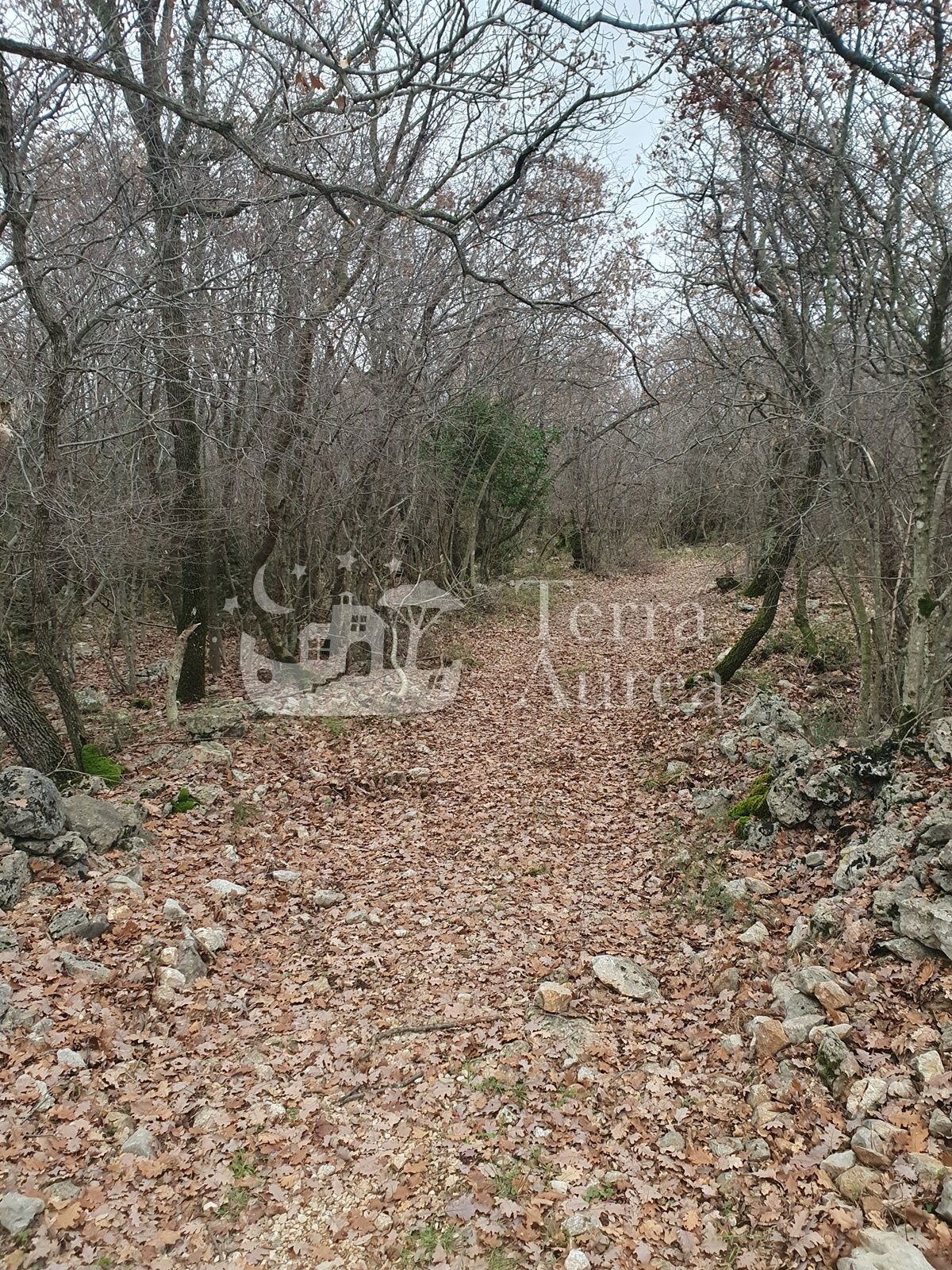 Kmetijsko zemljišče Vrh, Krk, 38.384m2