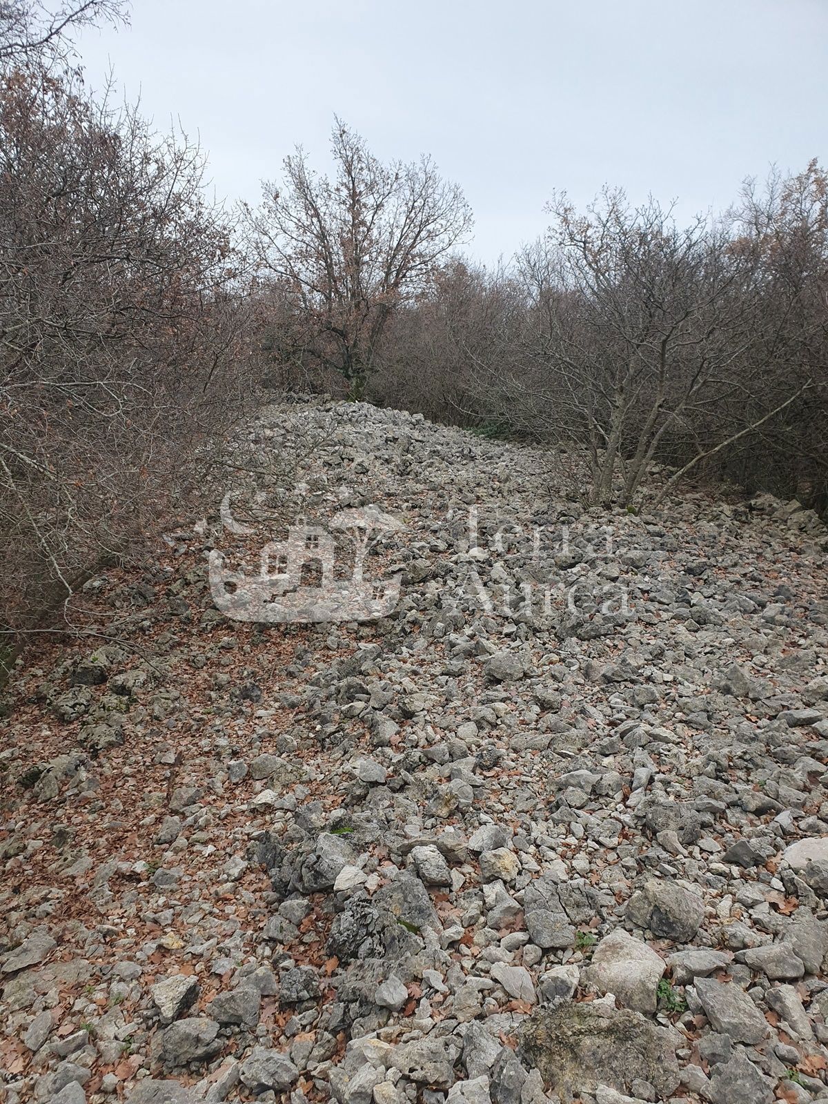 Kmetijsko zemljišče Vrh, Krk, 38.384m2