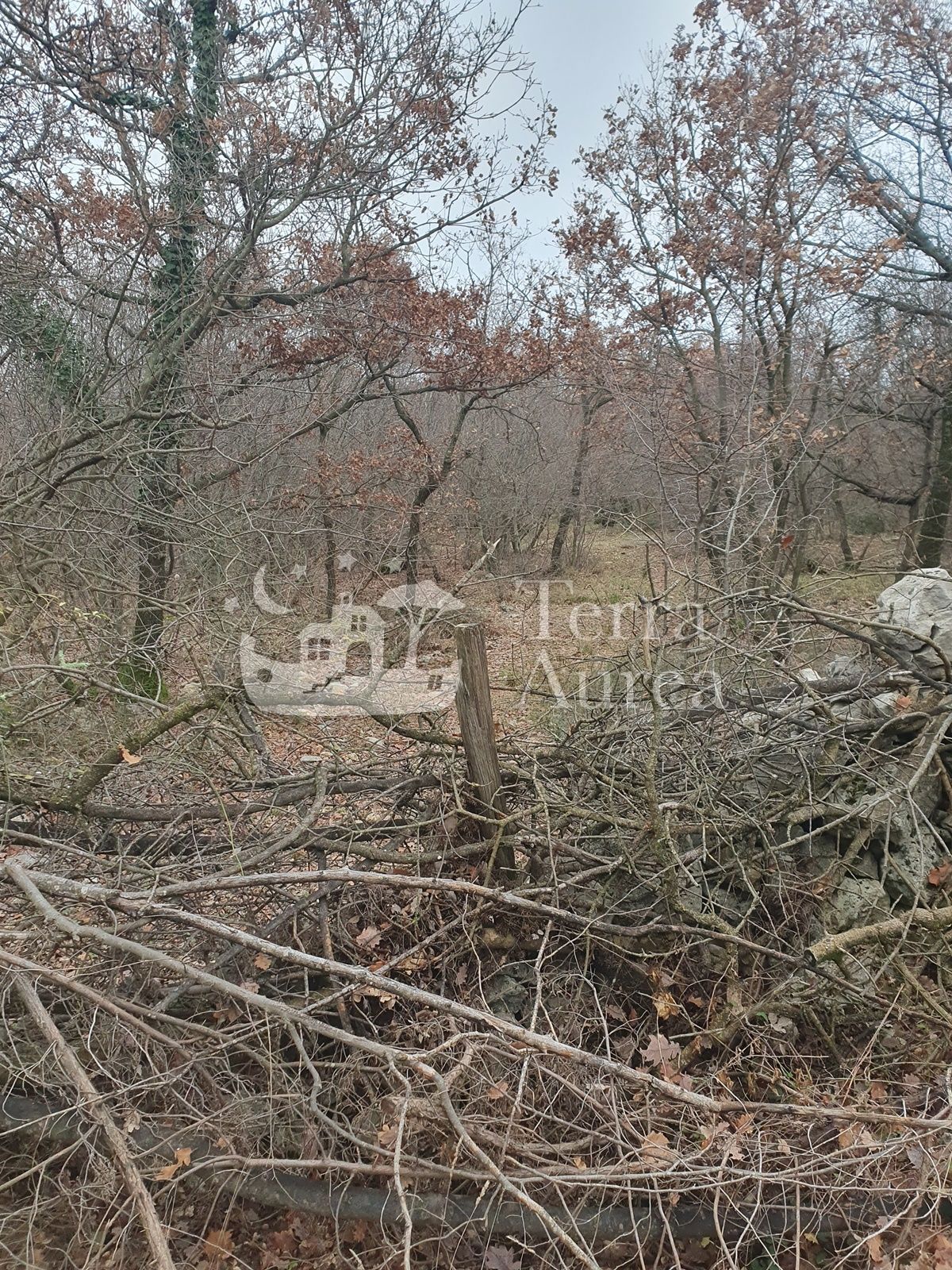 Kmetijsko zemljišče Vrh, Krk, 38.384m2