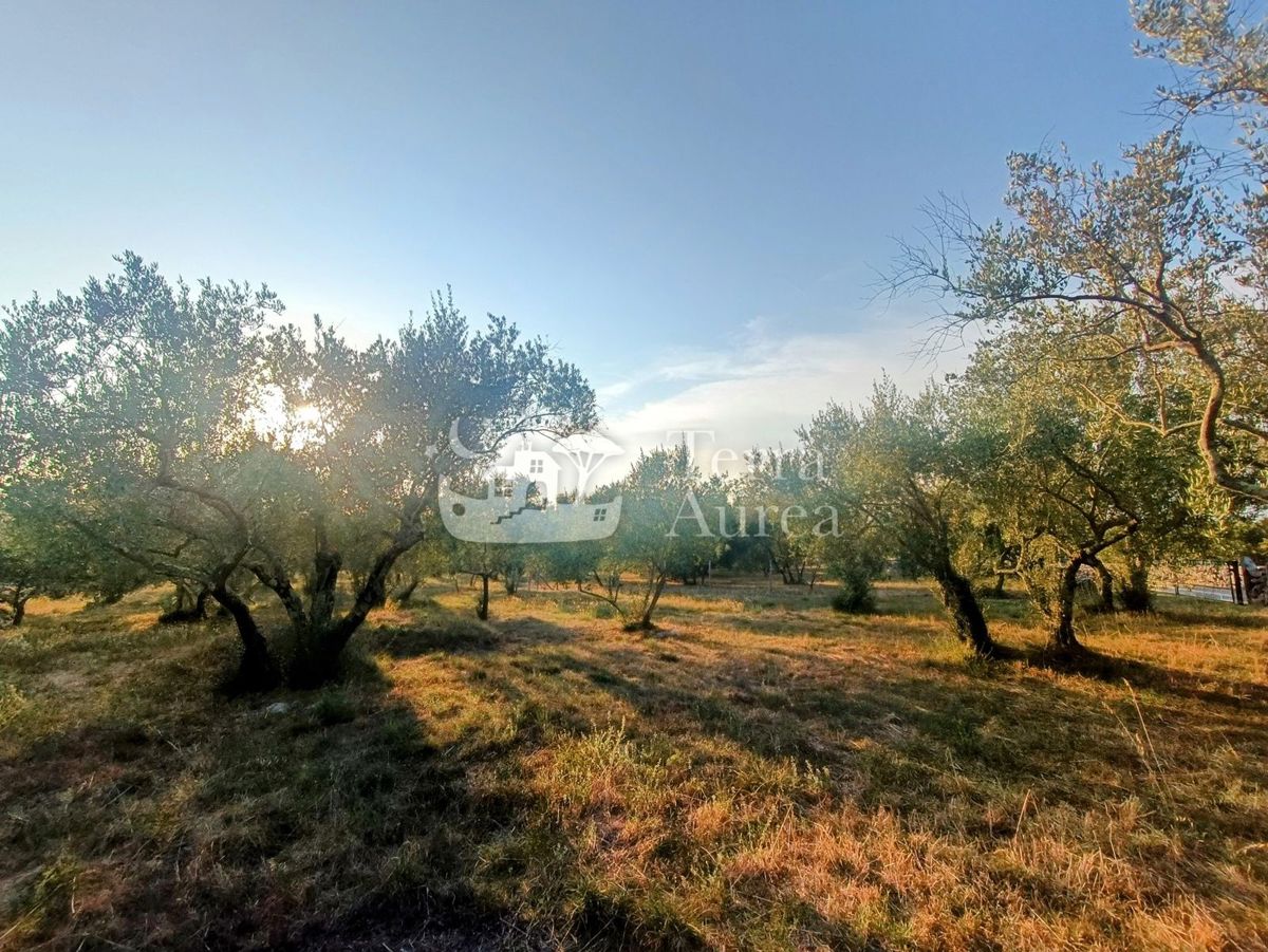 Kmetijsko zemljišče Malinska, Malinska-Dubašnica, 3.000m2
