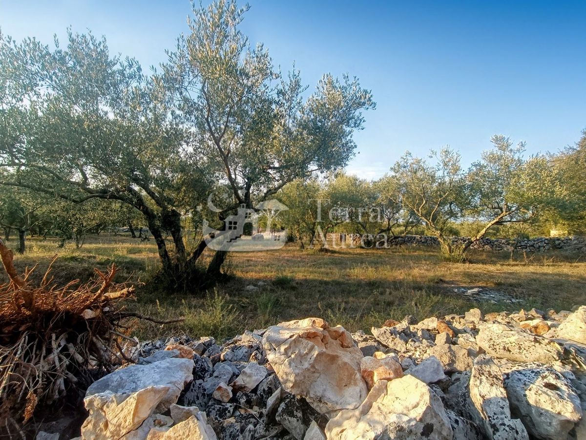 Kmetijsko zemljišče Malinska, Malinska-Dubašnica, 3.000m2