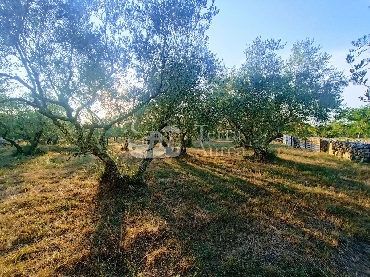 Kmetijsko zemljišče Malinska, Malinska-Dubašnica, 3.000m2