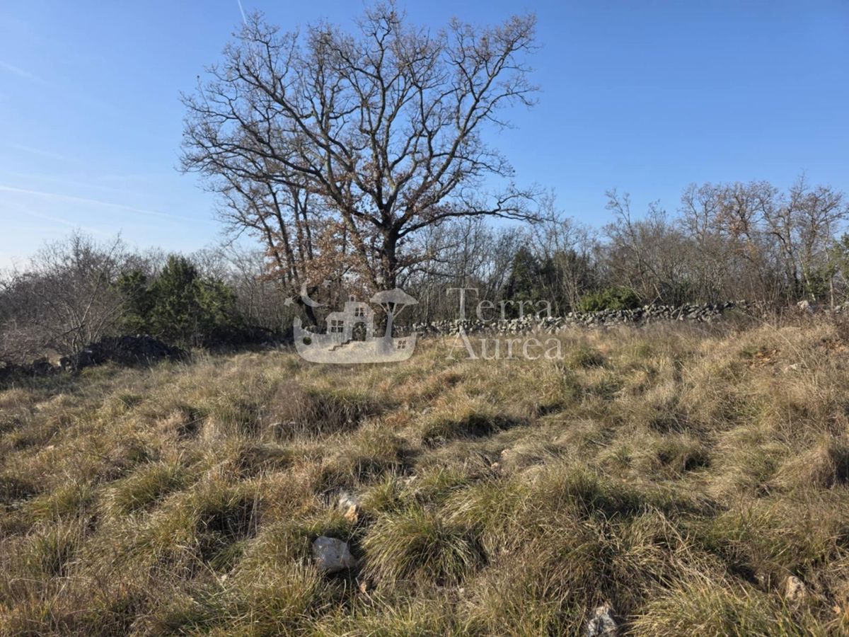 Kmetijsko zemljišče Krk, 14.800m2