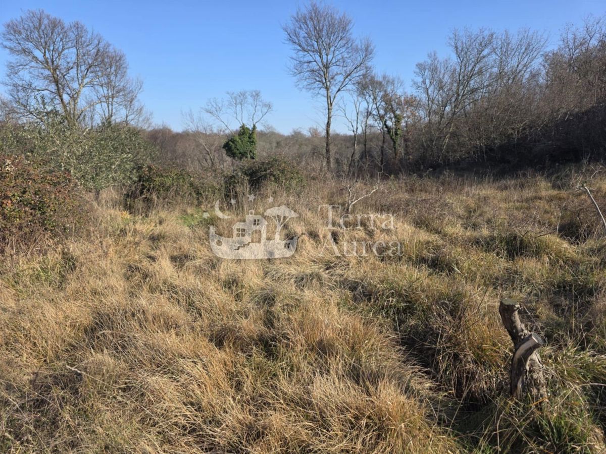 Kmetijsko zemljišče Krk, 14.800m2