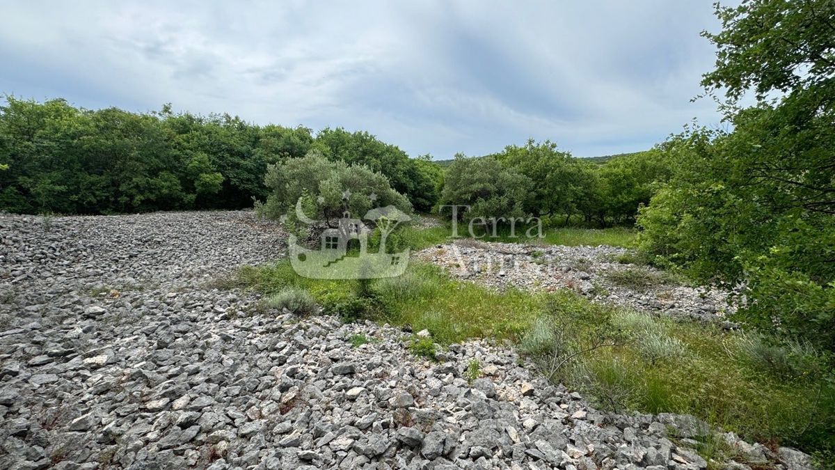 Gradbena zemljišča Vrbnik, 640m2