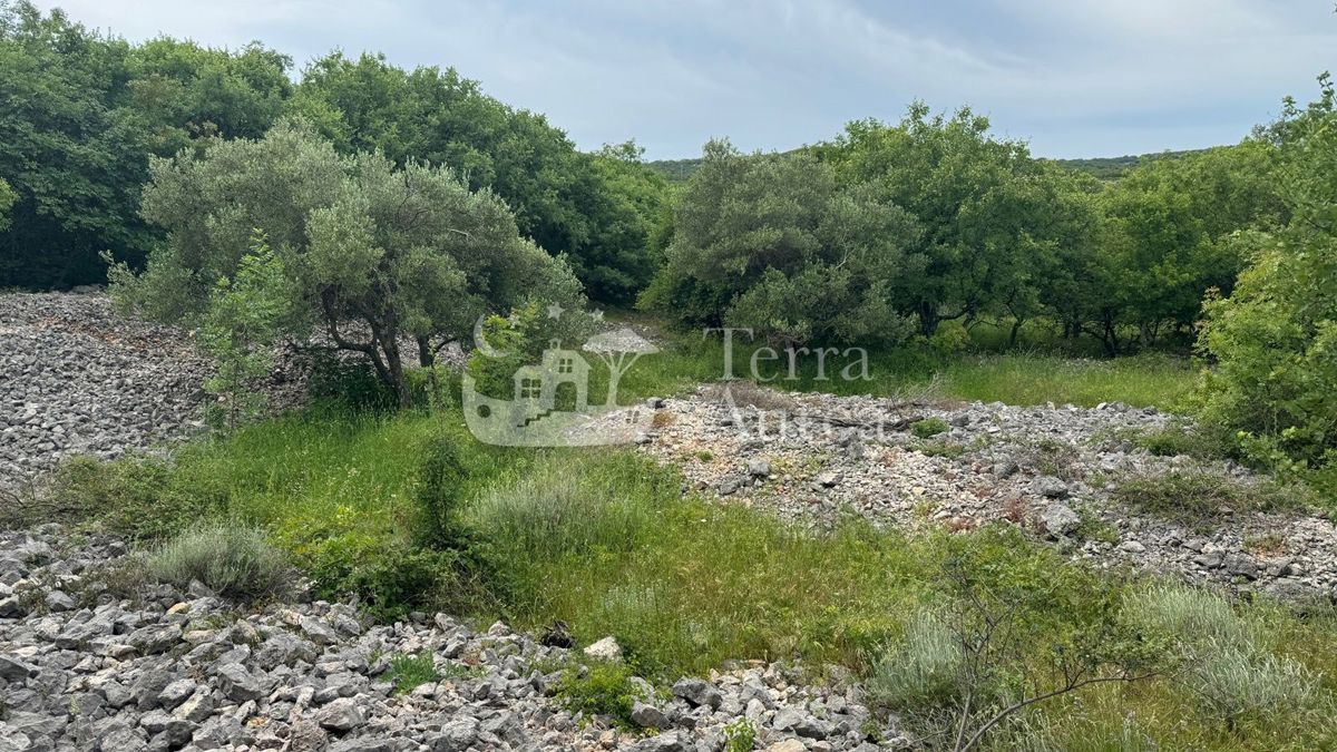 Gradbena zemljišča Vrbnik, 640m2