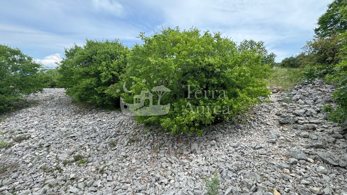 Gradbena zemljišča Vrbnik, 640m2