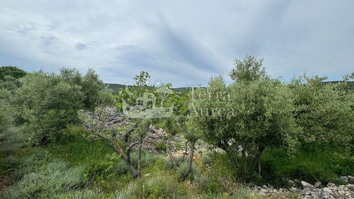 Gradbena zemljišča Vrbnik, 640m2