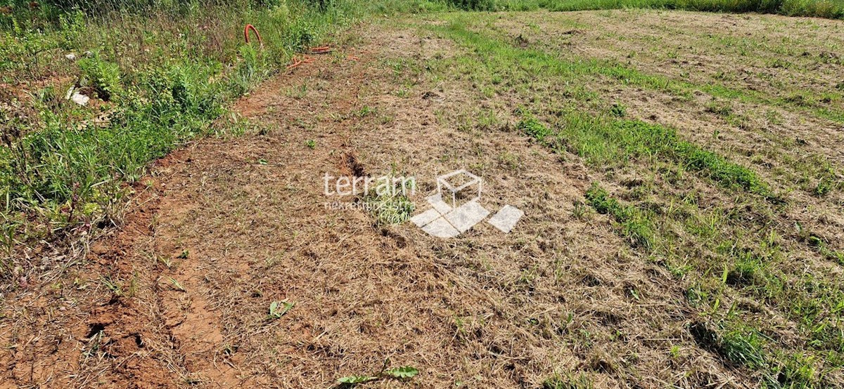 Istra, Ližnjan, gradbeno zemljišče 1650 m2 #prodaja