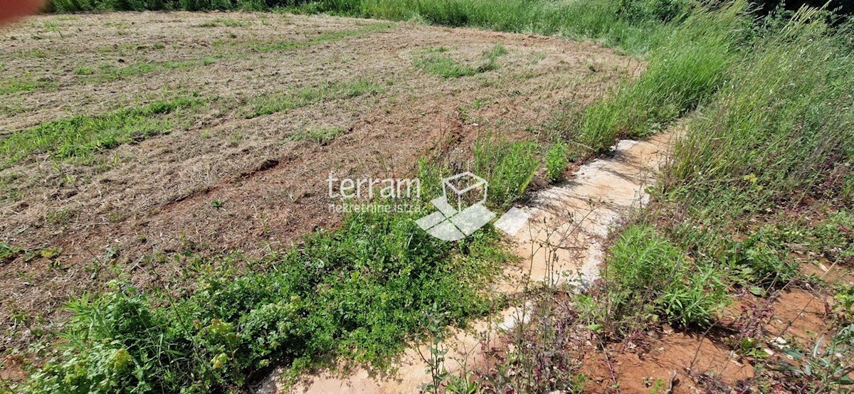 Istra, Ližnjan, gradbeno zemljišče 1650 m2 #prodaja