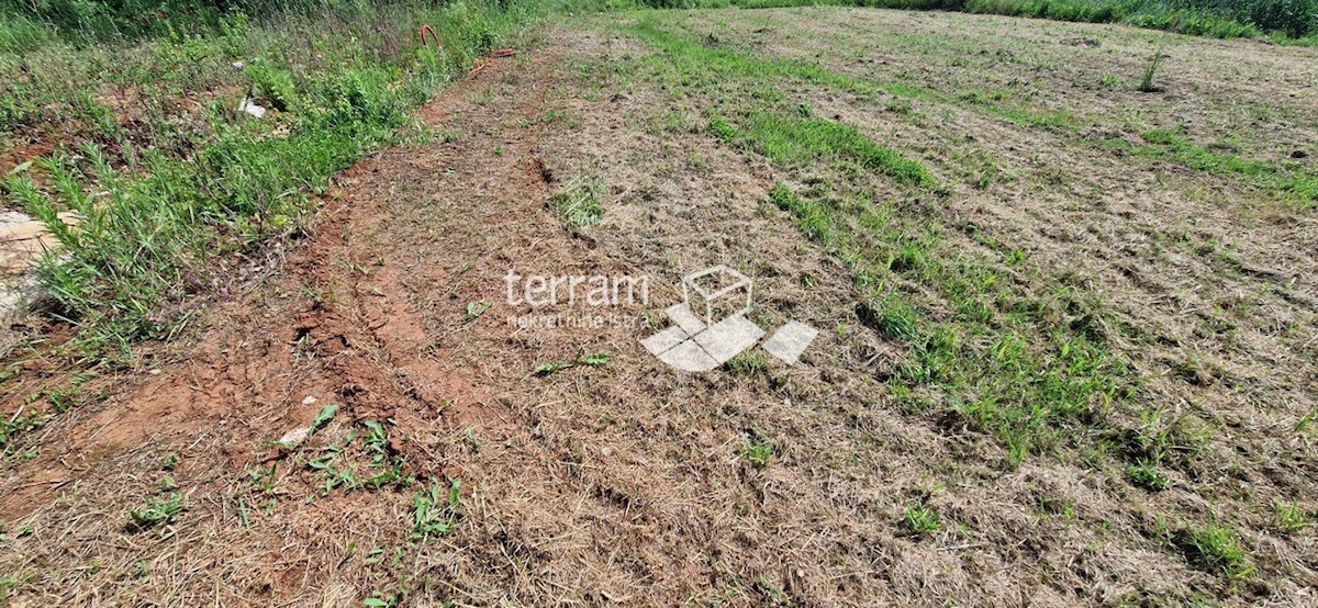 Istra, Ližnjan, gradbeno zemljišče 1650 m2 #prodaja