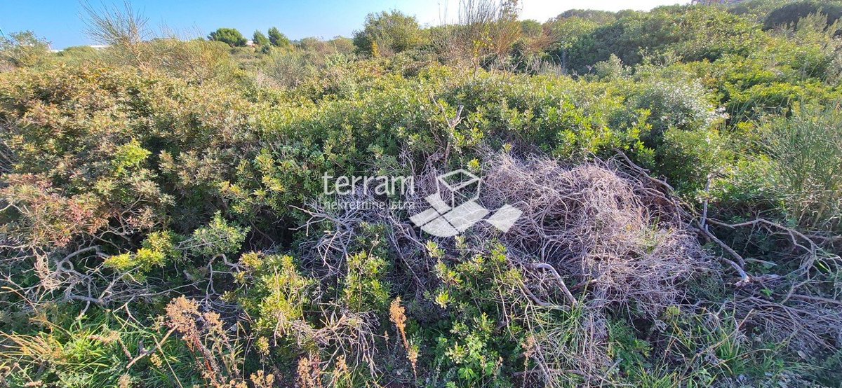 Istra, Medulin, Mukalba, gradbeno zemljišče 1445m2 #prodaja