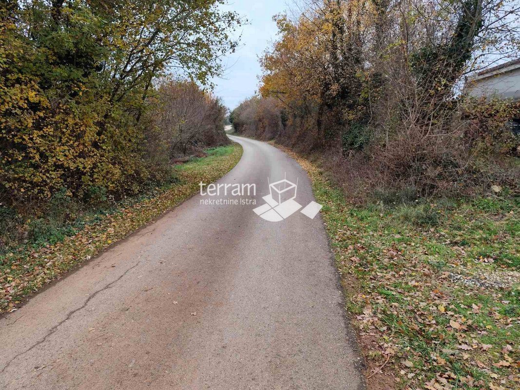 Istra, Svetvinčenat, Režanci, gradbeno zemljišče 600m2 #prodaja