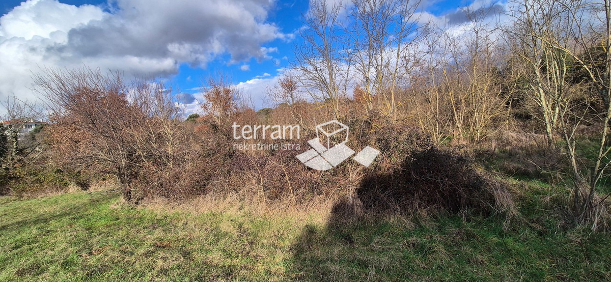 Istra, Rovinj, gradbeno zemljišče 5833 m2, #prodaja