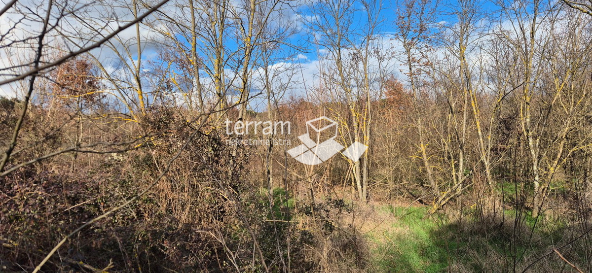 Istra, Rovinj, gradbeno zemljišče 5833 m2, #prodaja