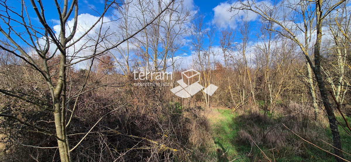 Istra, Rovinj, gradbeno zemljišče 5833 m2, #prodaja