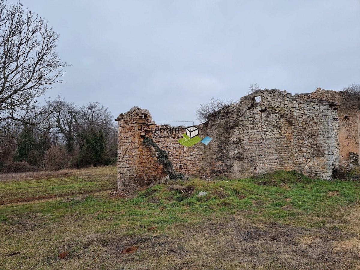 Istra, Žminj, kamnita samostojna istrska hiša 160m2 na velikem gradbenem zemljišču 3978m2 za obnovo prodamo