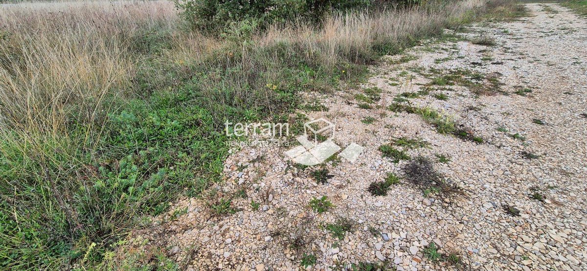 Istra, Žminj, več gradbenih parcel 533m2 #prodaja