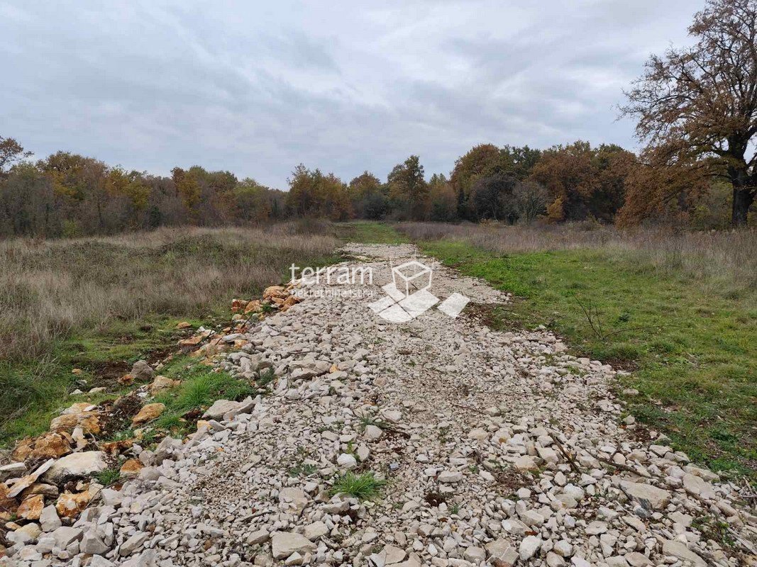 Istra, Svetvinćenat, Butkovići gradbeno zemljišče 632m2 # Prodamo