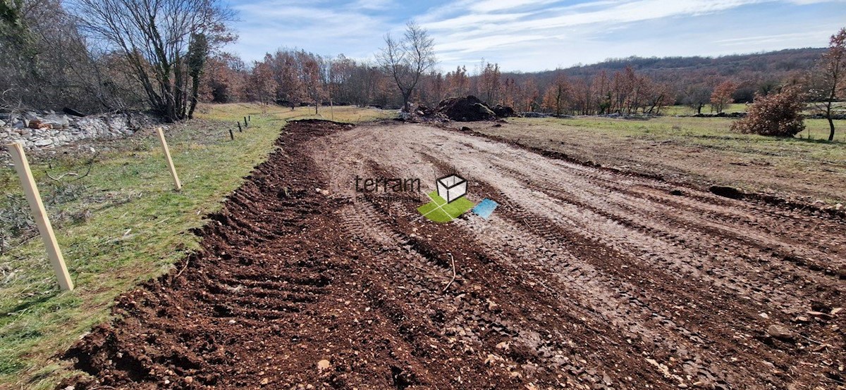 Istra, Tinjan, prodamo gradbeno zemljišče 1490m2 z gradbenim dovoljenjem za hišo z bazenom