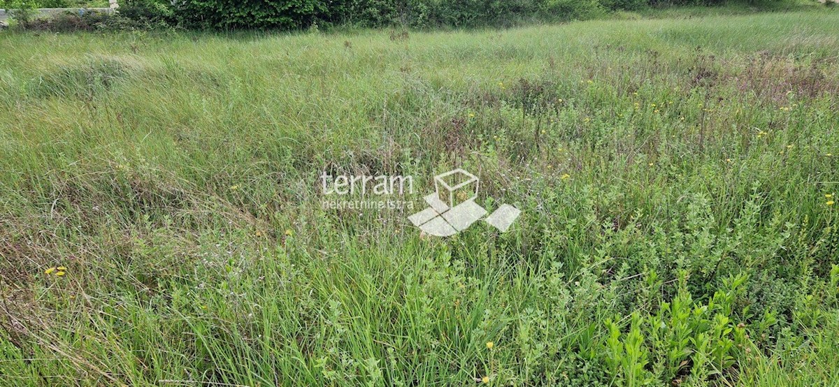 Istra, Svetvinčenat, Režanci, gradbeno zemljišče 1670m2 ODLIČNA LOKACIJA #prodaja