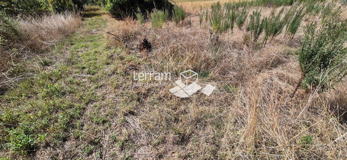 Istra, Vodnjan, Galižana, gradbeno zemljišče 985m2 s pogledom na morje #prodaja