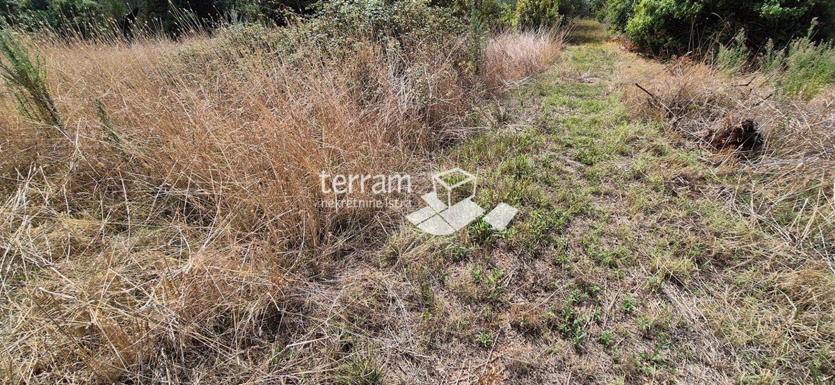 Istra, Vodnjan, Galižana, gradbeno zemljišče 985m2 s pogledom na morje #prodaja