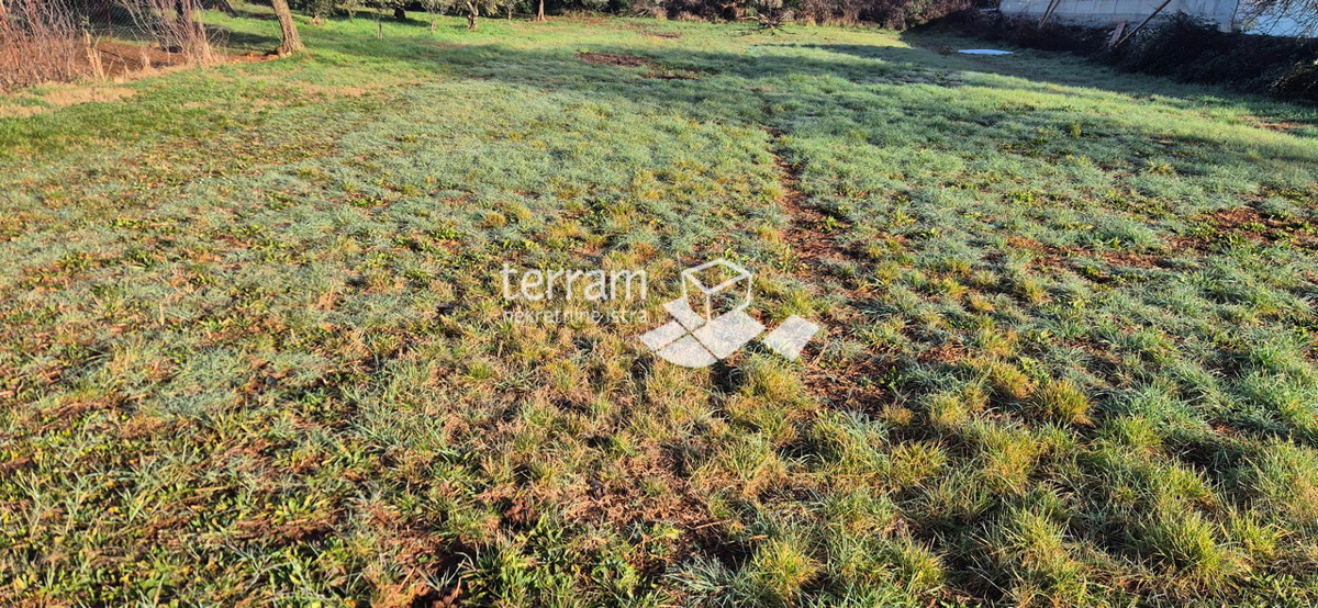 Istra, Vodnjan, Fondole, kmetijsko zemljišče 1161 m2, #prodaja