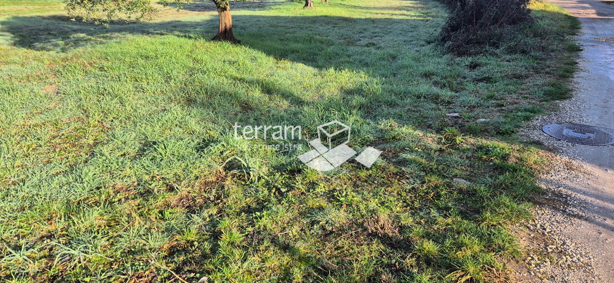 Istra, Vodnjan, Fondole, kmetijsko zemljišče 1184 m2, #prodaja