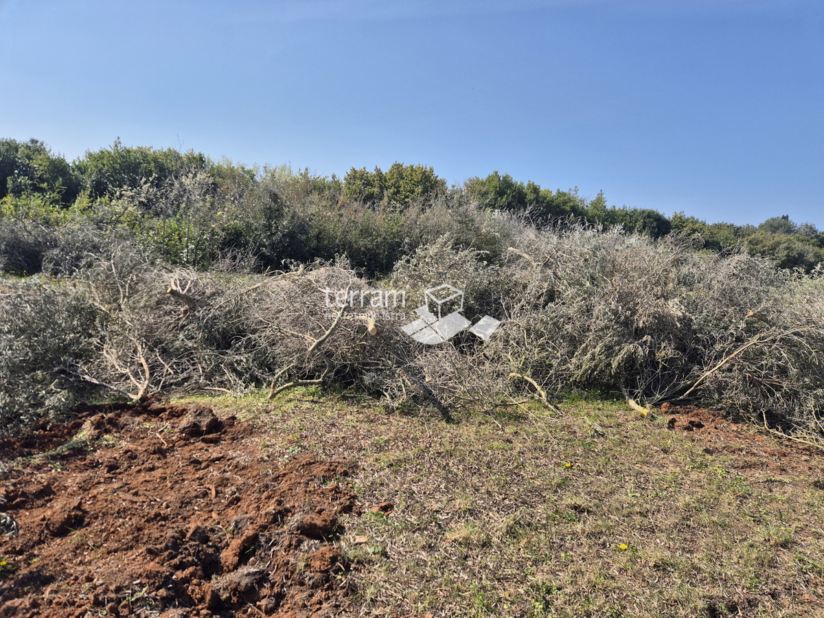 Istra, Pula, Šijana, gradbeno zemljišče, gospodarsko-poslovna raba 37.061 m2, #prodaja