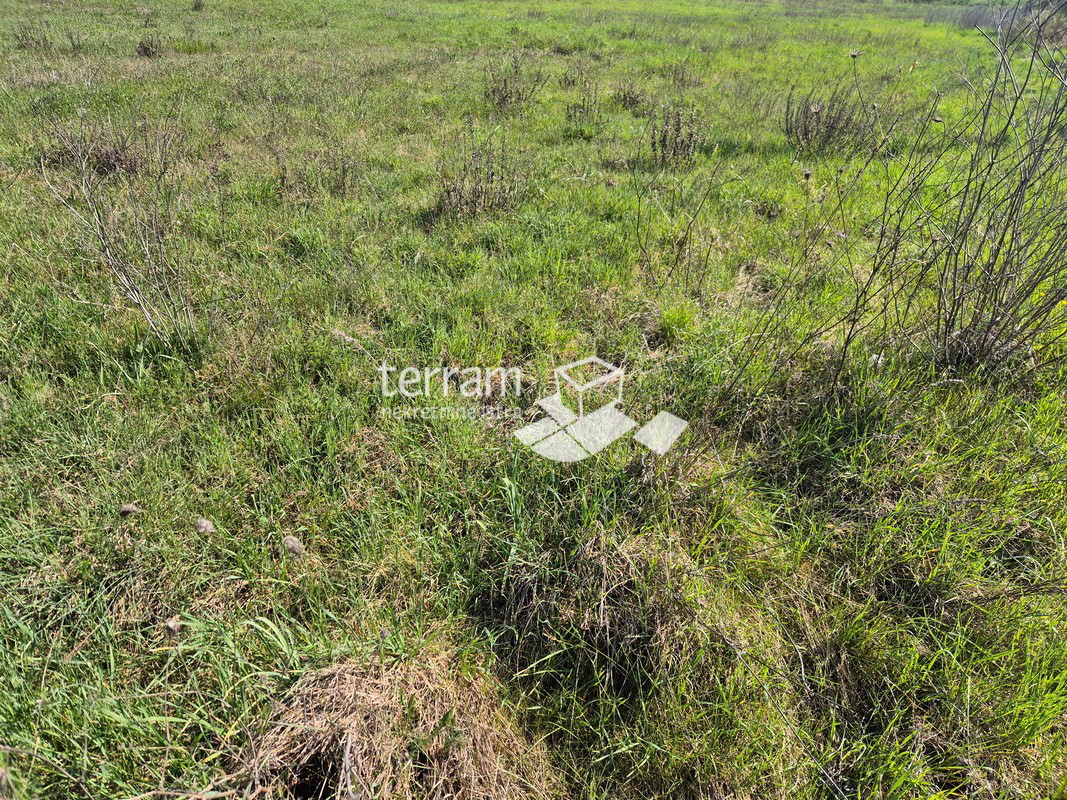Istra, Pula, Šijana, gradbeno zemljišče 2350 m2, idejna zasnova za 18 stanovanj, #prodaja