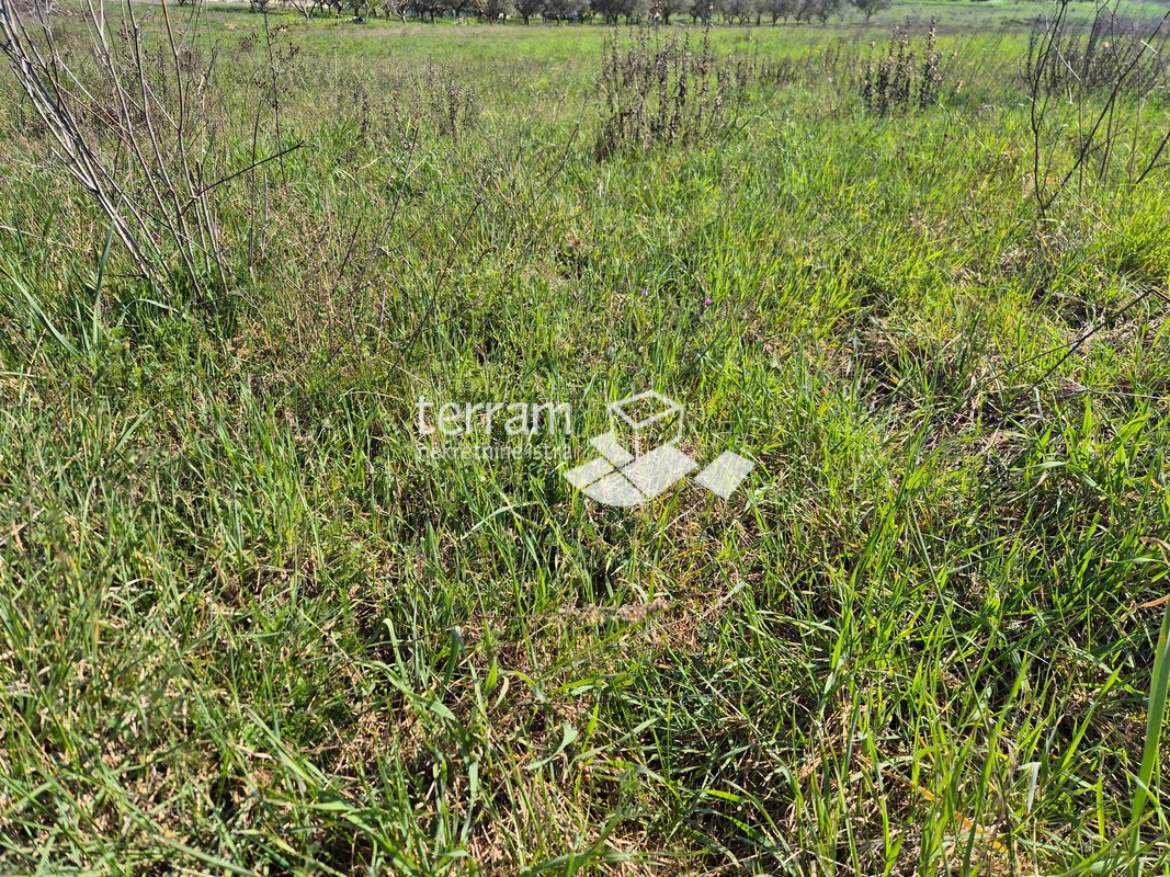 Istra, Pula, Šijana, gradbeno zemljišče 2350 m2, idejna zasnova za 18 stanovanj, #prodaja