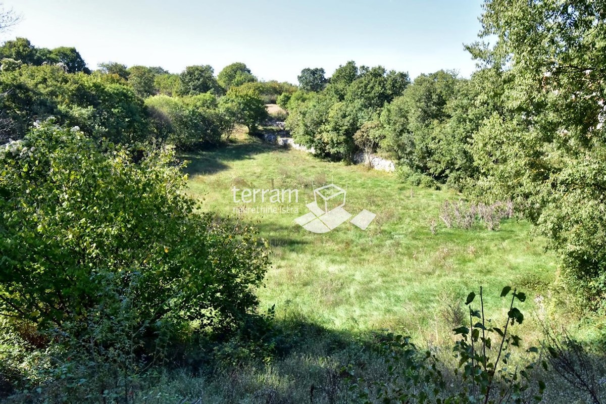 Istra, Svetvinčenat, Štokovci, zazidljivo kmetijsko zemljišče 9270m2 #prodaja