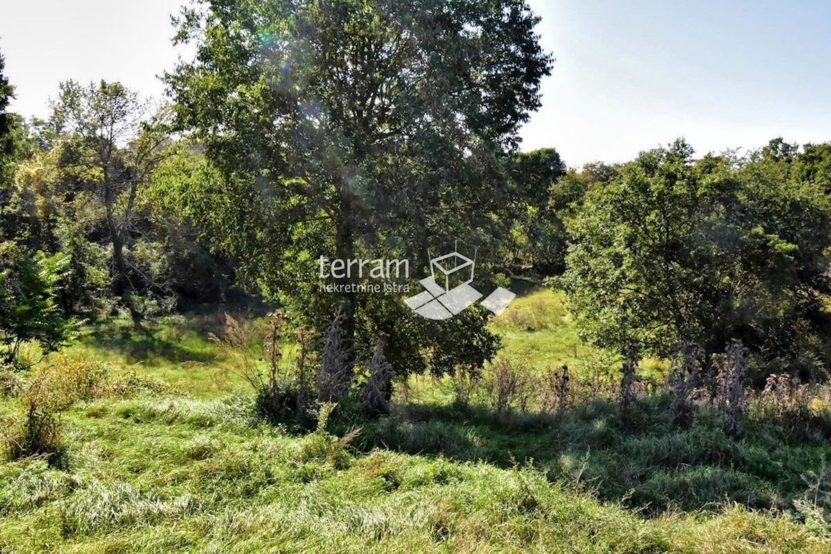 Istra, Svetvinčenat, Štokovci, zazidljivo kmetijsko zemljišče 9270m2 #prodaja