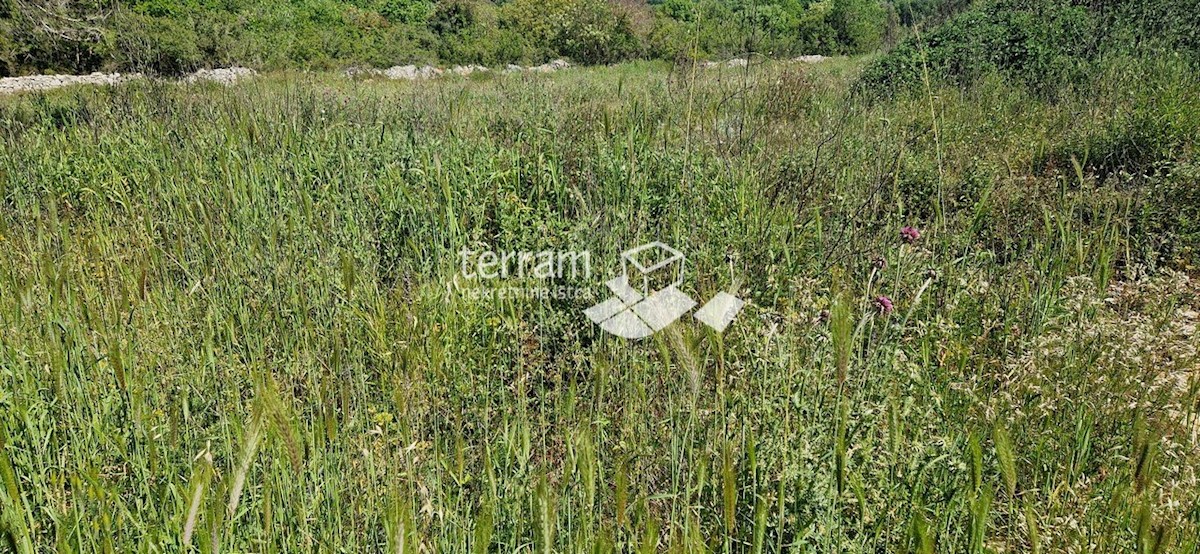 Istra, Pula, Vintijan, gradbeno zemljišče 1143m2 #prodaja