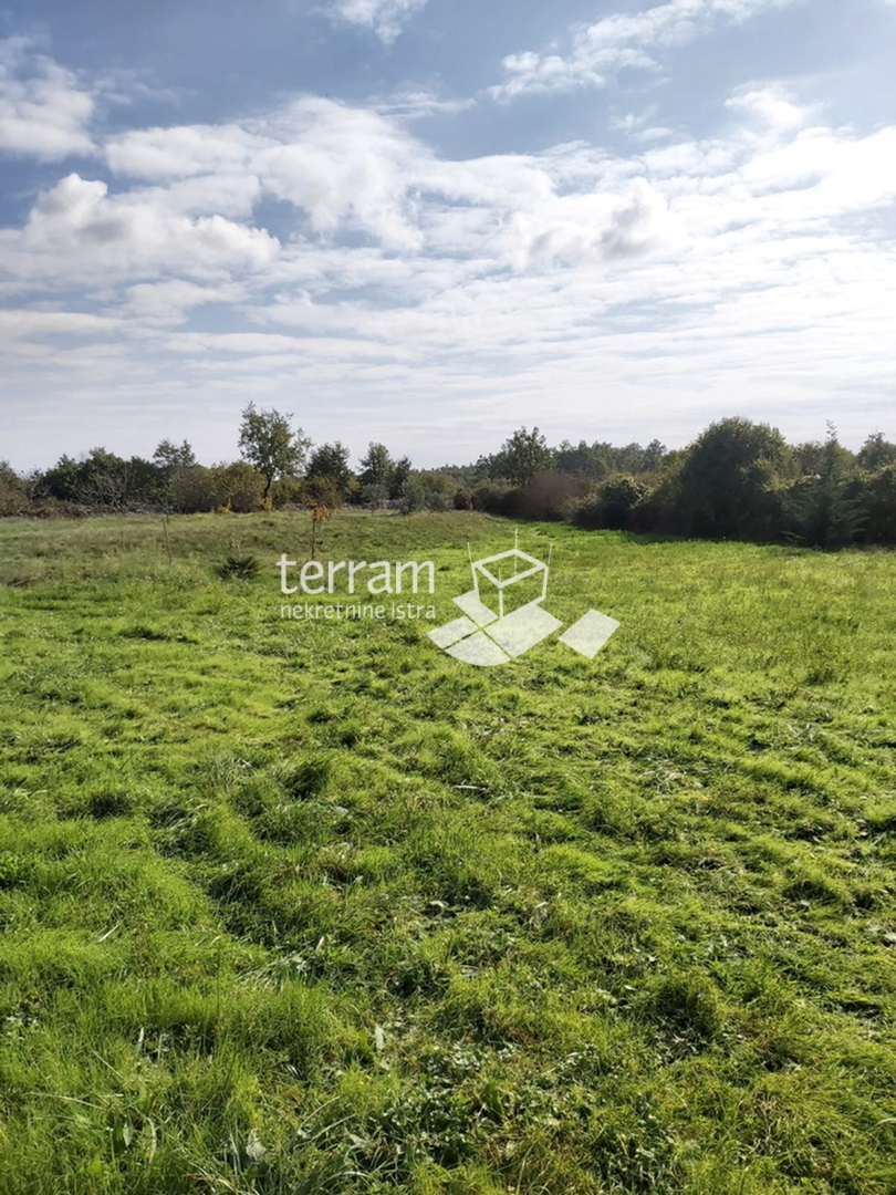 Istra, Žminj, Cere, gradbeno zemljišče, 660 m2, prodaja