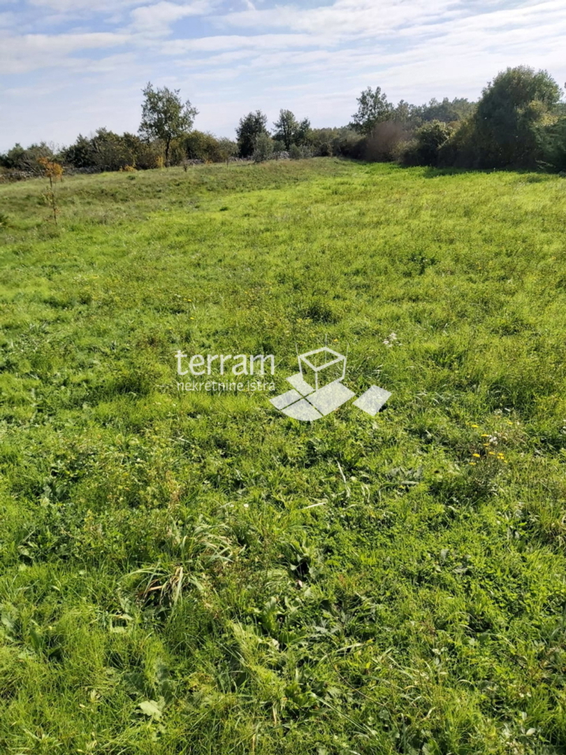 Istra, Žminj, Cere, gradbeno zemljišče, 660 m2, prodaja