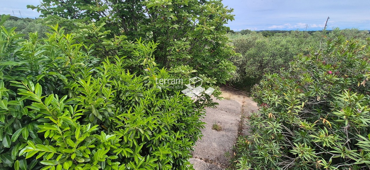 Istra, obala, posestvo 2600 m2, dve hiši skupaj 470 m2, 9 stanovanj, pogled na morje, #prodaja