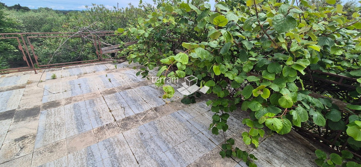 Istra, obala, posestvo 2600 m2, dve hiši skupaj 470 m2, 9 stanovanj, pogled na morje, #prodaja