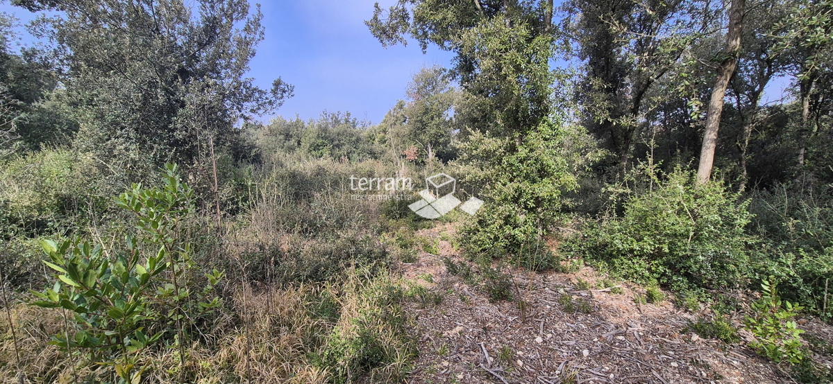 Istra, Pula, Pješčana uvala, kmetijsko zemljišče 423 m2, #prodaja