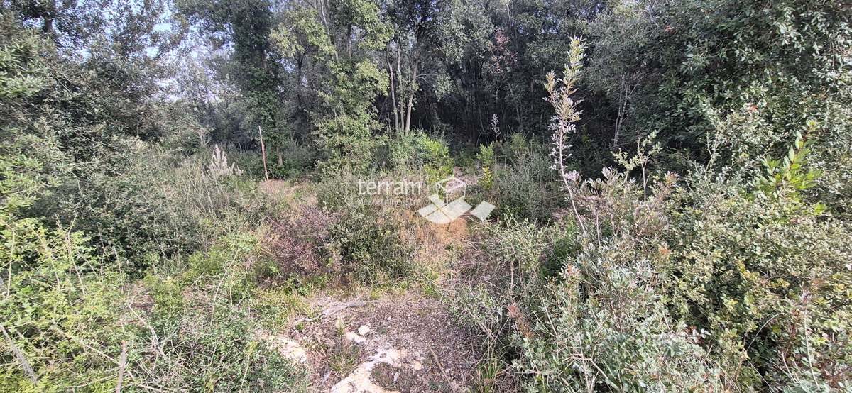 Istra, Pula, Pješčana uvala, kmetijsko zemljišče 423 m2, #prodaja