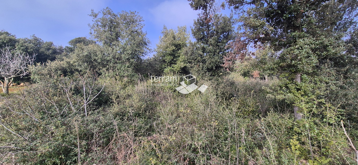 Istra, Pula, Pješčana uvala, kmetijsko zemljišče 423 m2, #prodaja