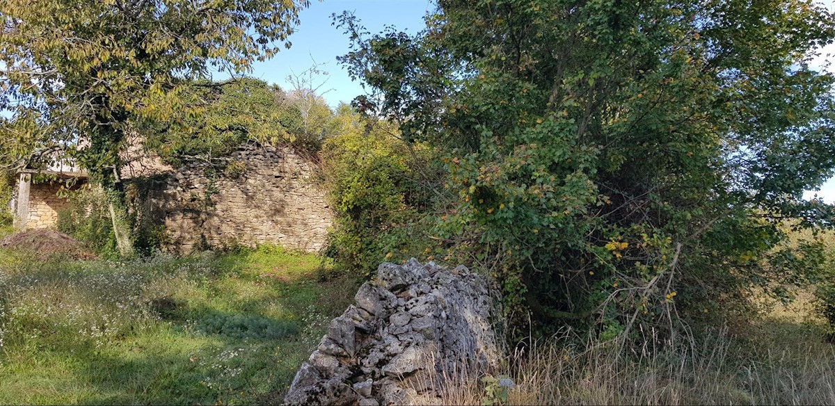 Istra, Gračišće, Lančišće stara istrska hiša 300m2 vrt 6856m2