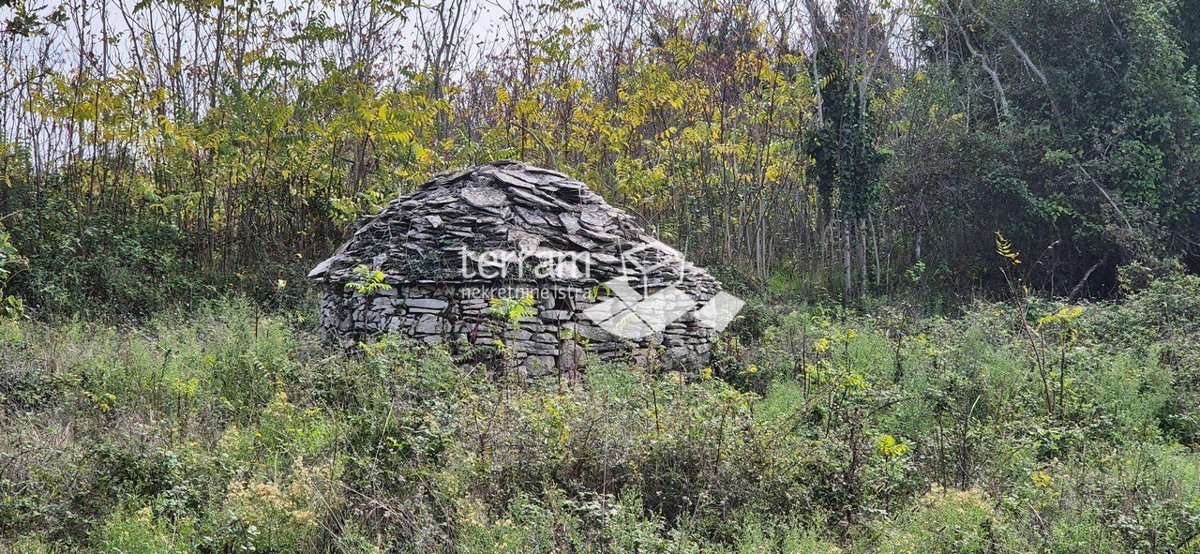 Istra, Vodnjan, Galižana, prodamo kmetijsko zemljišče 4546m2 #