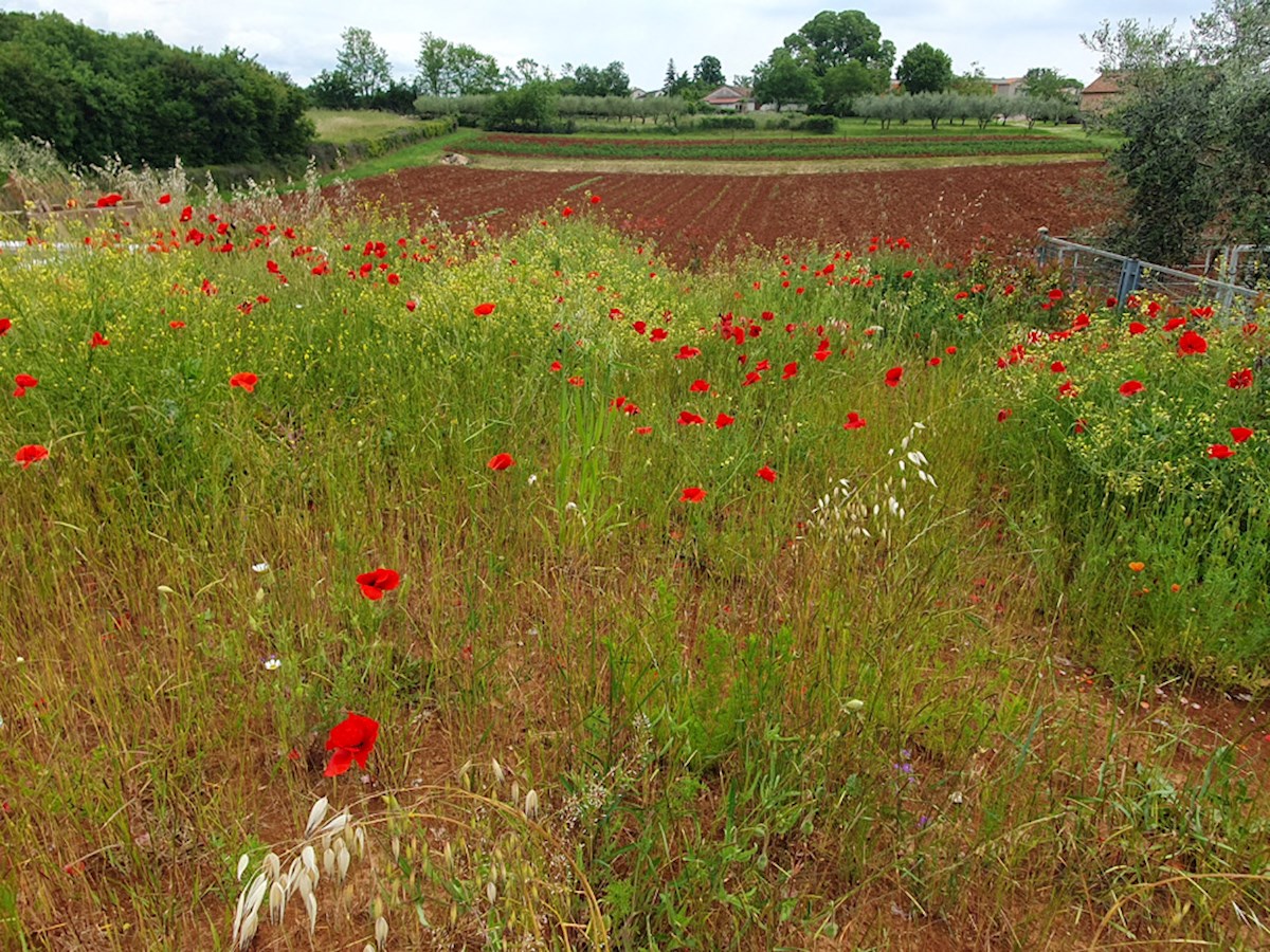 KOP-747, Nova Vila 219 m², s Bazenom, na mirni lokaciji, 7 km od Poreča