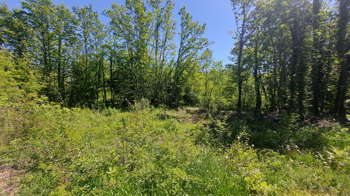 Z-654, PAZIN – STANCIJA PATAJ, Stavbno zemljišče 1488 m²