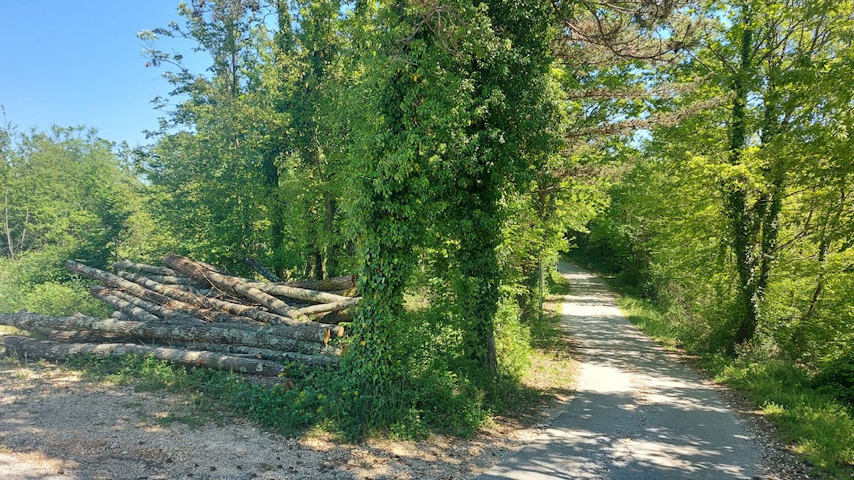 Z-654, PAZIN – STANCIJA PATAJ, Stavbno zemljišče 1488 m²